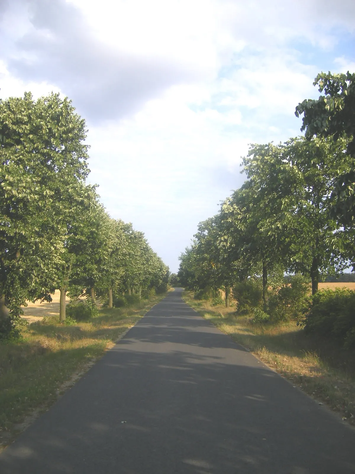 Photo showing: Kám - a Jeli arborétum felé vezető bekötőút