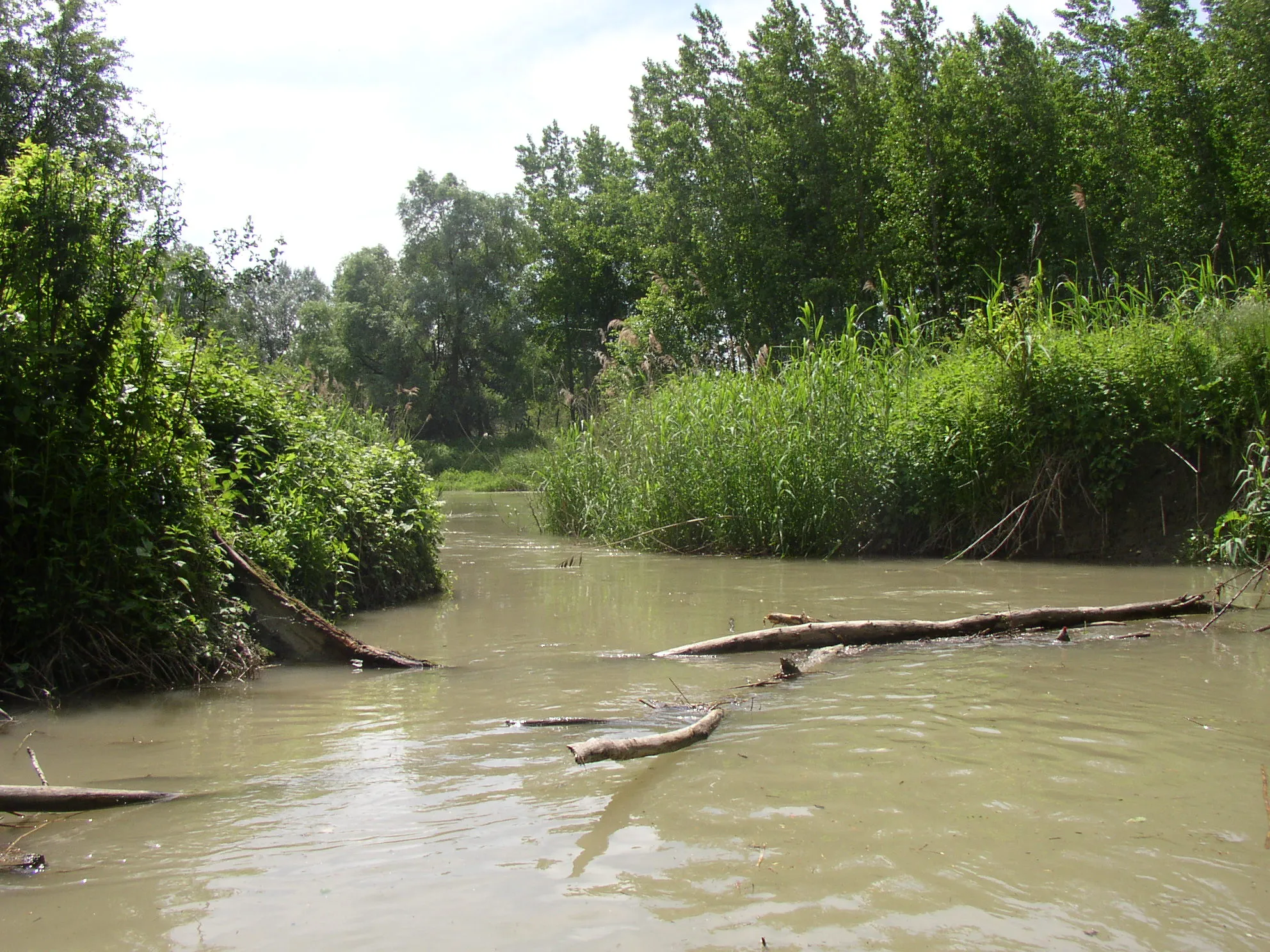 Photo showing: Szigetköz after the flood