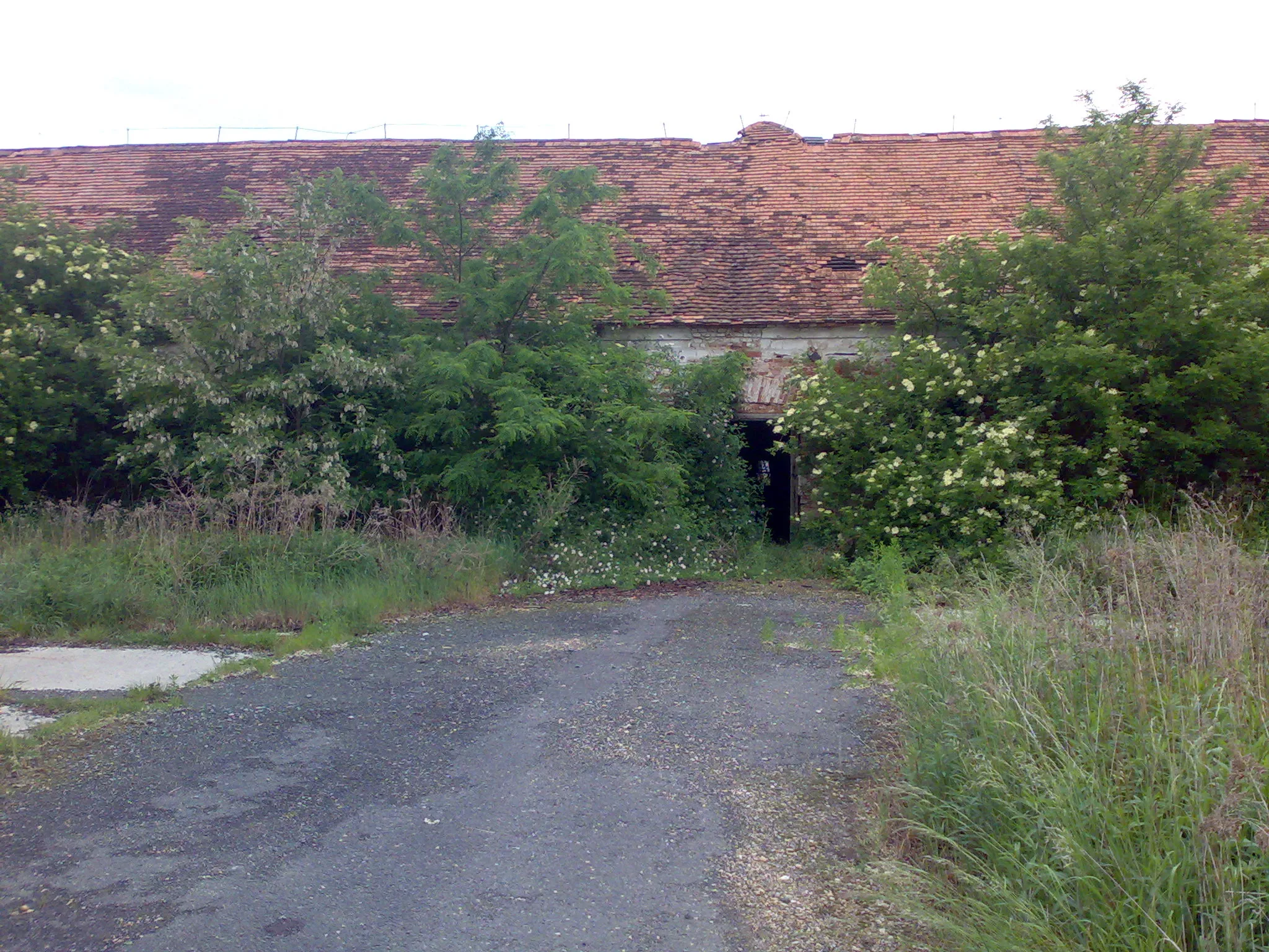 Photo showing: Elhagyott istálló