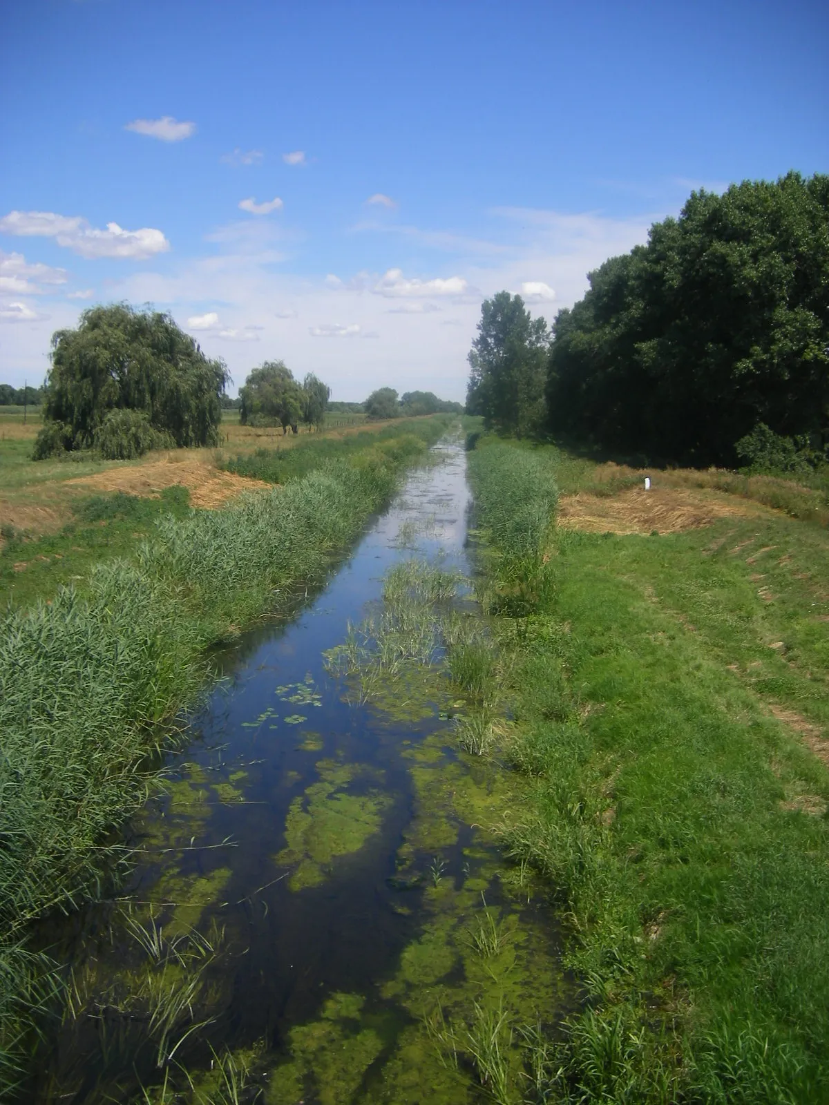 Photo showing: A Marcal Mersevátnál