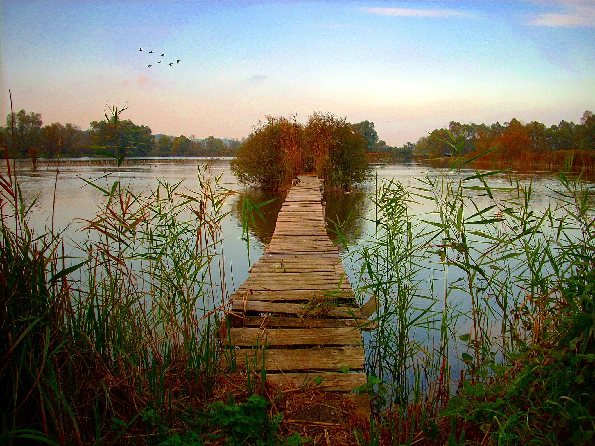 Photo showing: The lake at Pölöske, Hungary.