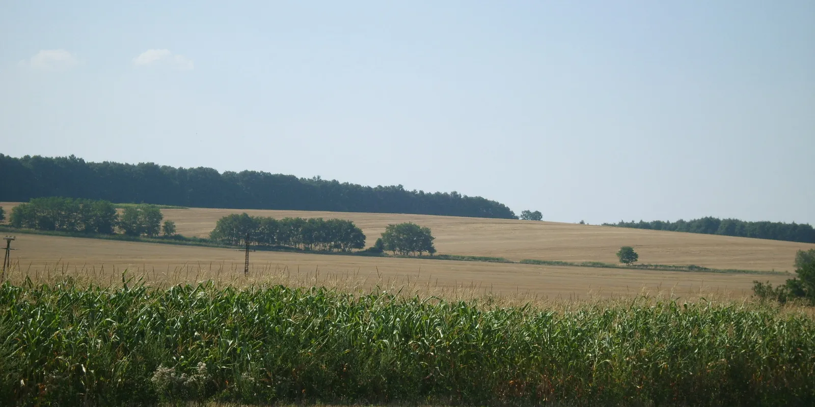 Photo showing: Tipikus dombsági táj, előtérben kukoricafölddel. Pölöske határában készült a kép 2007. július 20-án készült.