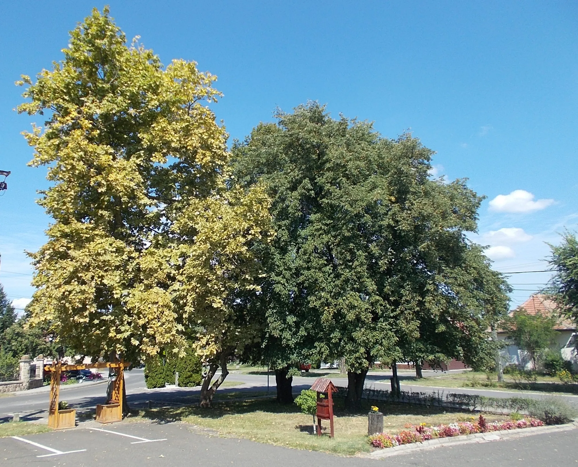 Photo showing: : Park/car park corner part - Park before the town hall, Köztársaság Street, Irsa neighborhood, Albertirsa, Pest County, Hungary.