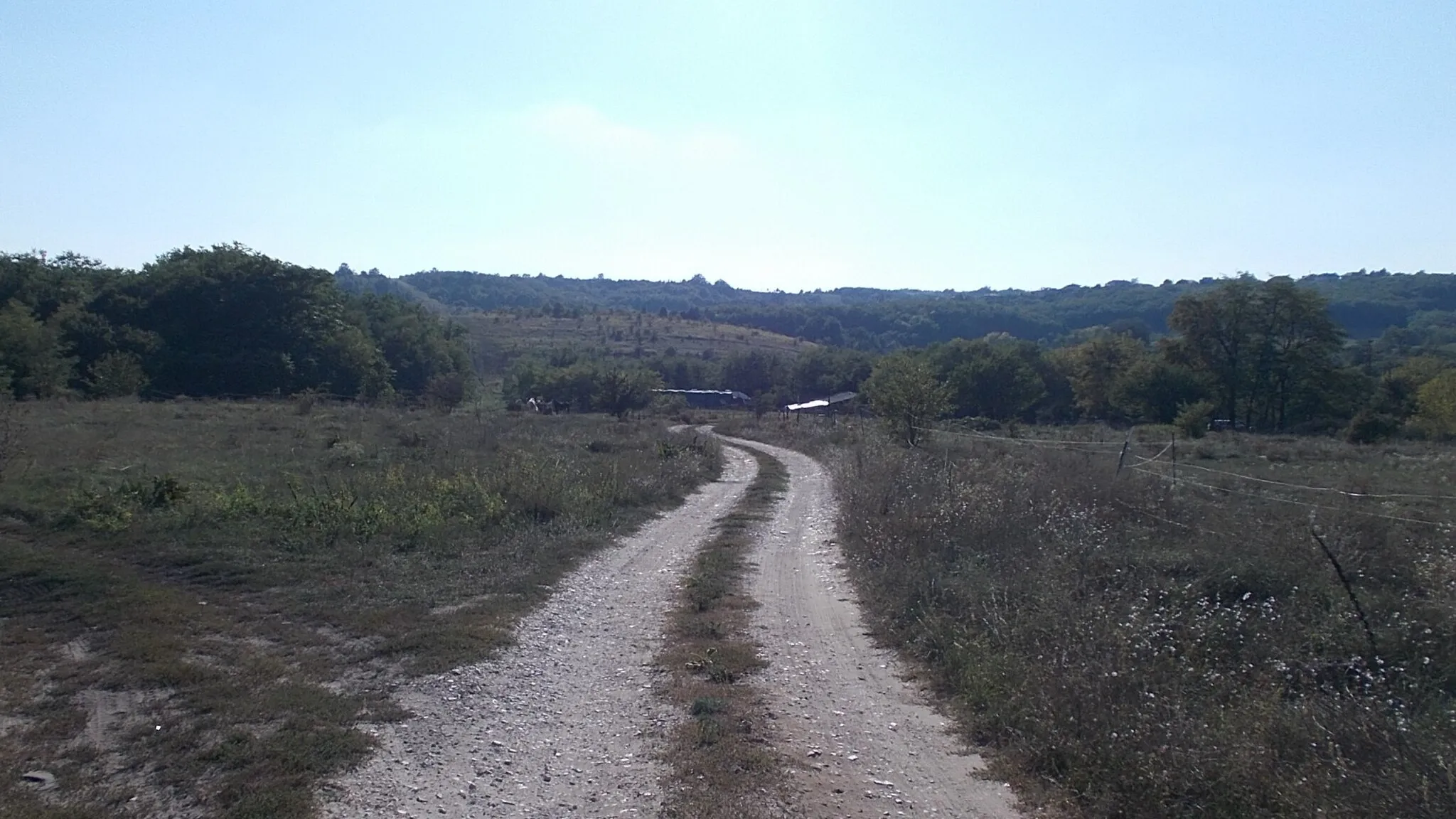 Photo showing: : Dirt road to the horse farm. - Kálvária Street off, Outskirt, Piliscsaba, Pest County, Hungary.