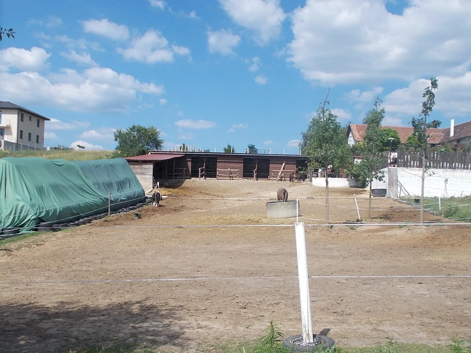 Photo showing: 'Tulip' horse yard/farm from Hősök Street - Pihenő  Street, Pécel, Pest County, Hungary.