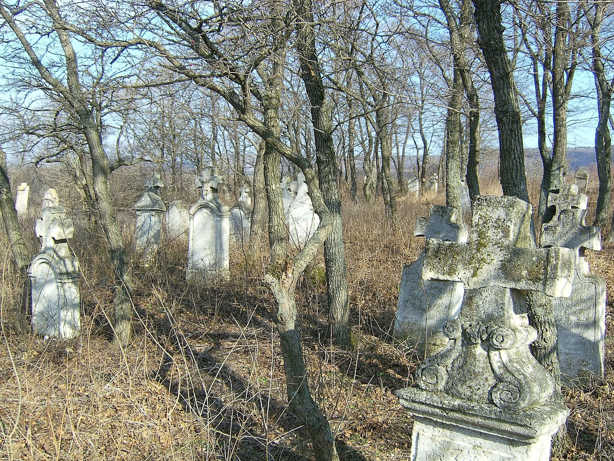 Photo showing: Budajenői régi (német) temető (Pest megye, Magyarország)