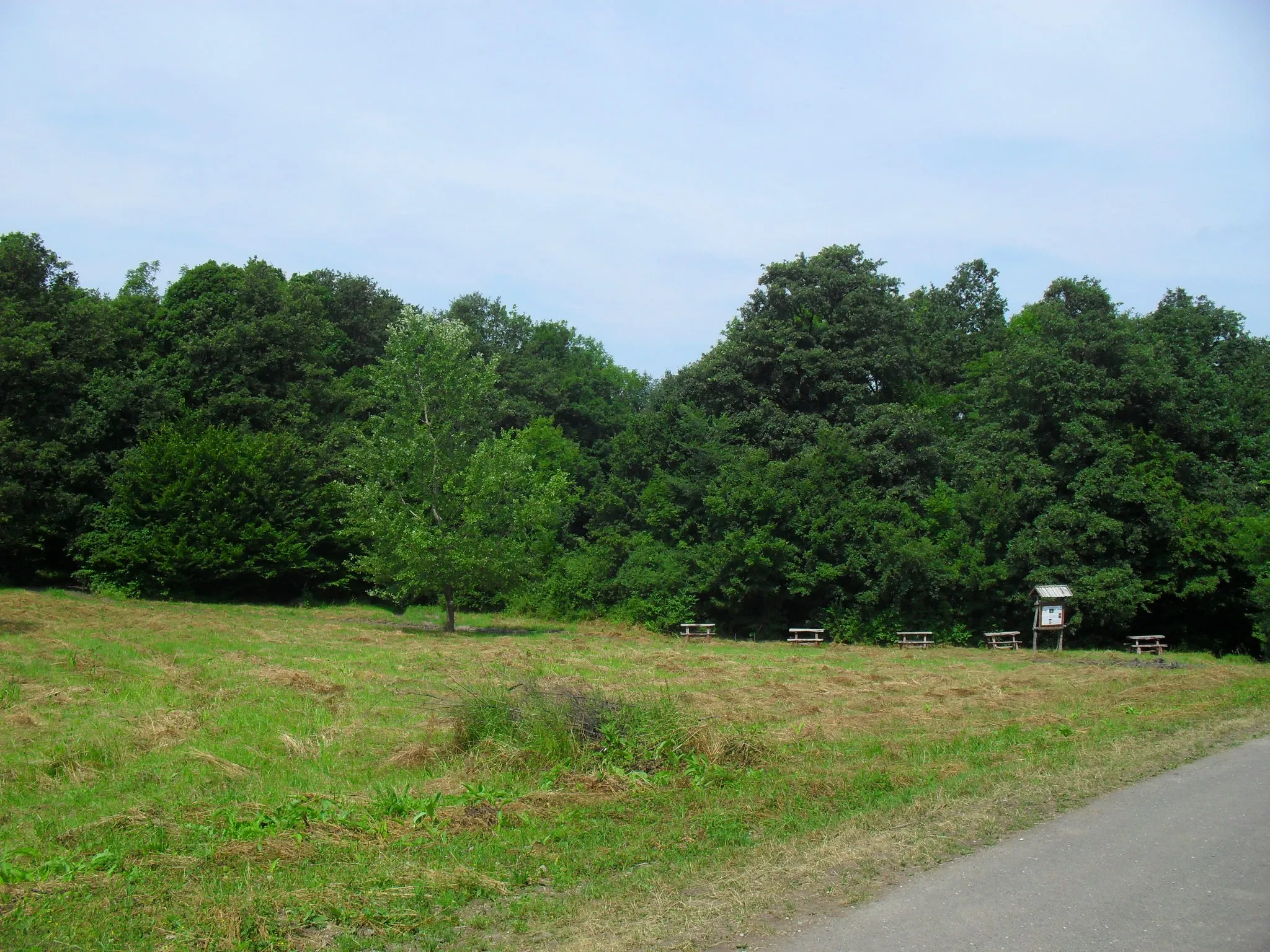 Photo showing: Nagyoroszi  - a Nagy-völgy végénél, a Drégelyvárra vezető turistaút elágazásánál