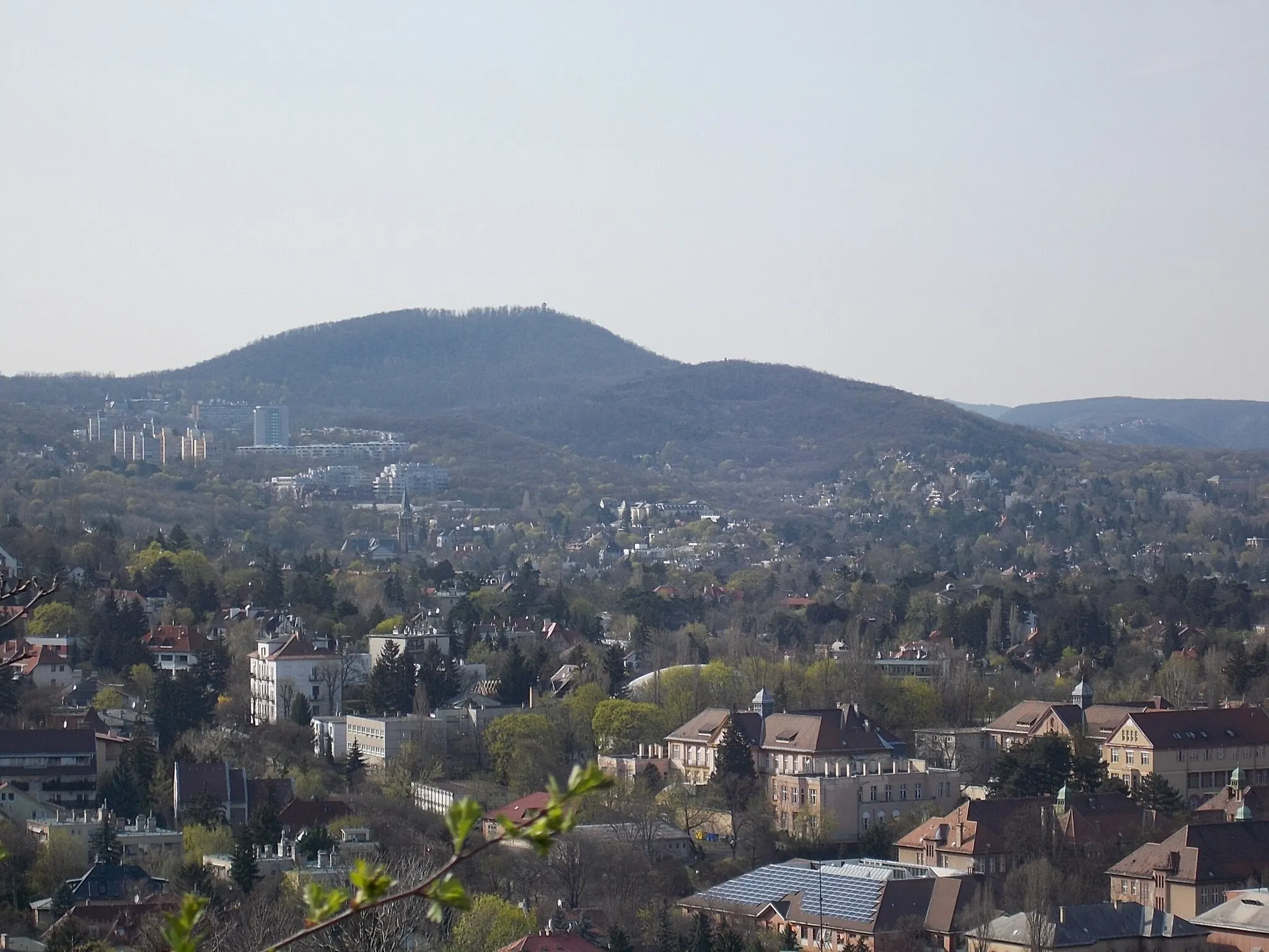 Photo showing: Kis-Sváb Hill Protection Area which is part of the Buda landscape protection area and Duna-Ipoly National Park. Former called Martinovics Hill. Open to public. Under the protection of the Budapest Municipality since 1991. This 7.2 hectare area towering over a built in urban region of the city. From the highest point (258m asl.) of this nature reserve the view of the capital is magnificient. The hill primarly consist of Upper Triasssic (200 mio. ys old) dolomite which is covered by late Eocene (38 mio. ys old) fossiliferous limestone. Most interesting fossils are calcite and baryte crystals, these have been found in the limestone quarries. Flora: the most important local plants are: saxicolous grasses and carstic scrub forests. - Budapest District XII., Hungary.