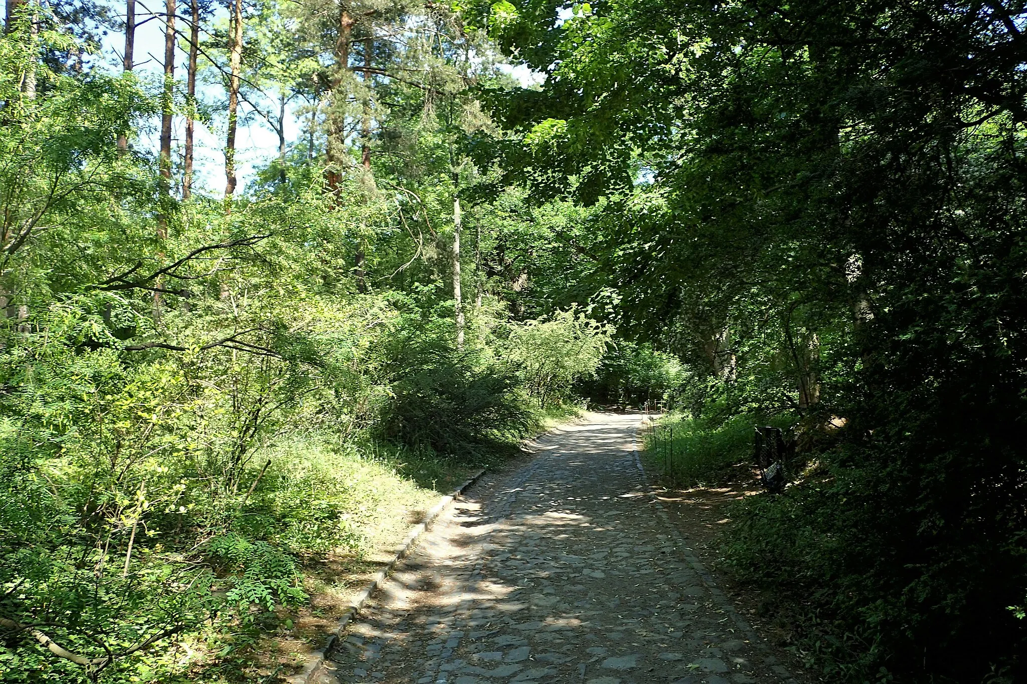 Photo showing: Botanical garden in Vácrátót in may 2018