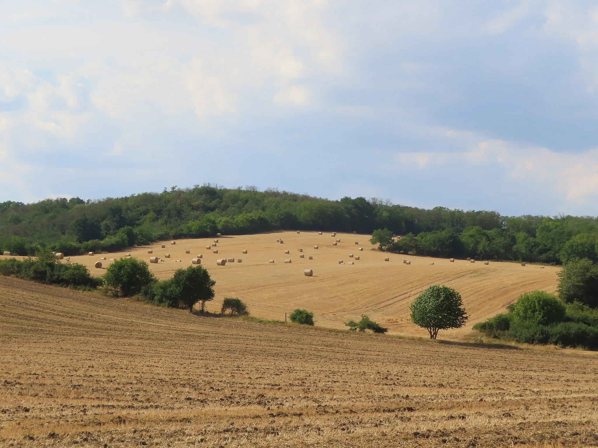 Photo showing: Ipolykiskeszi határ