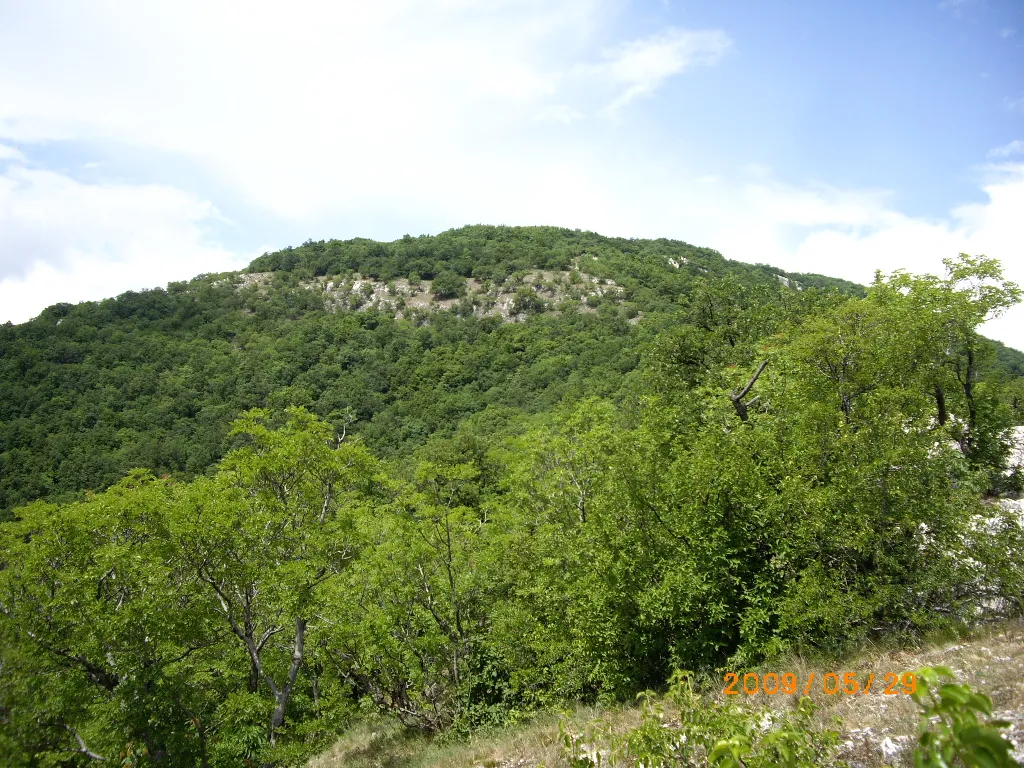 Photo showing: Pilis tető, Pilisszántó, 2095 Hungary