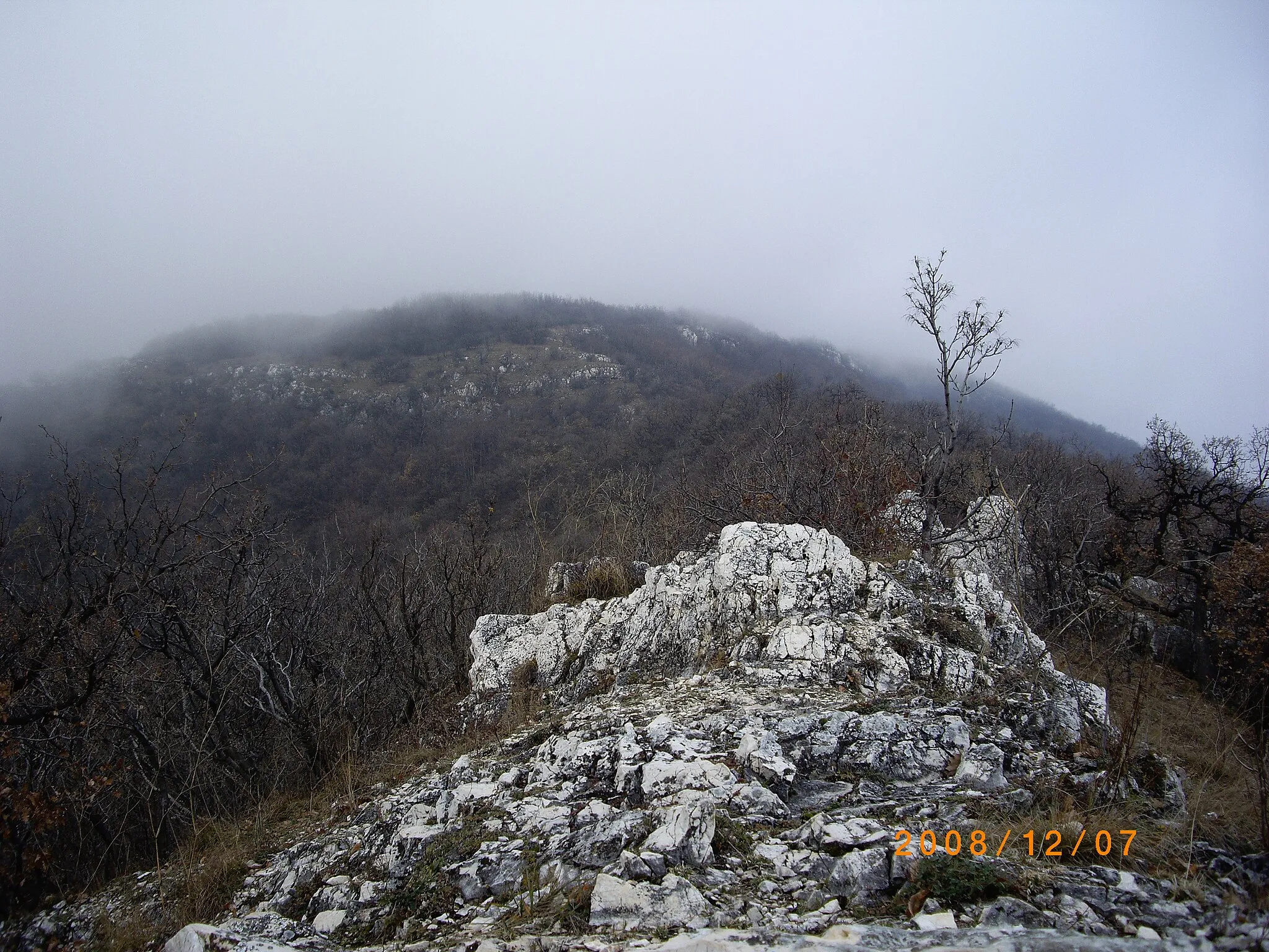 Photo showing: Pilis-hegy teteje