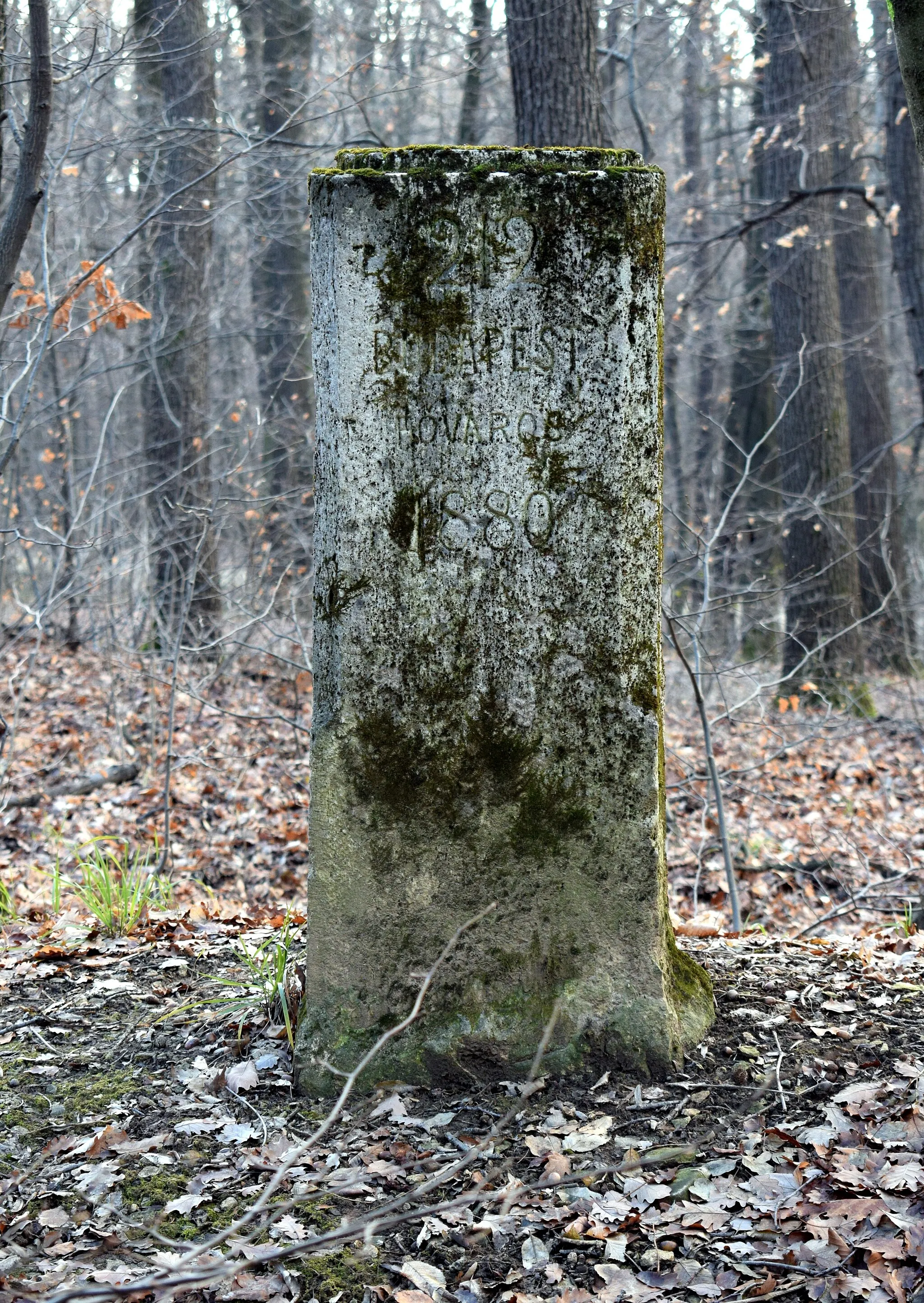 Photo showing: No. 212 boundary stone of Budapest (1880), originally stood on the boundary with Budakeszi. It is located in the middle of the forest on the northwestern slope of János-hegy, not far from the yellow hiking trail. The inscription on the other side (Budakesz) was erased after Budakeszierdő was bought by Budapest.
