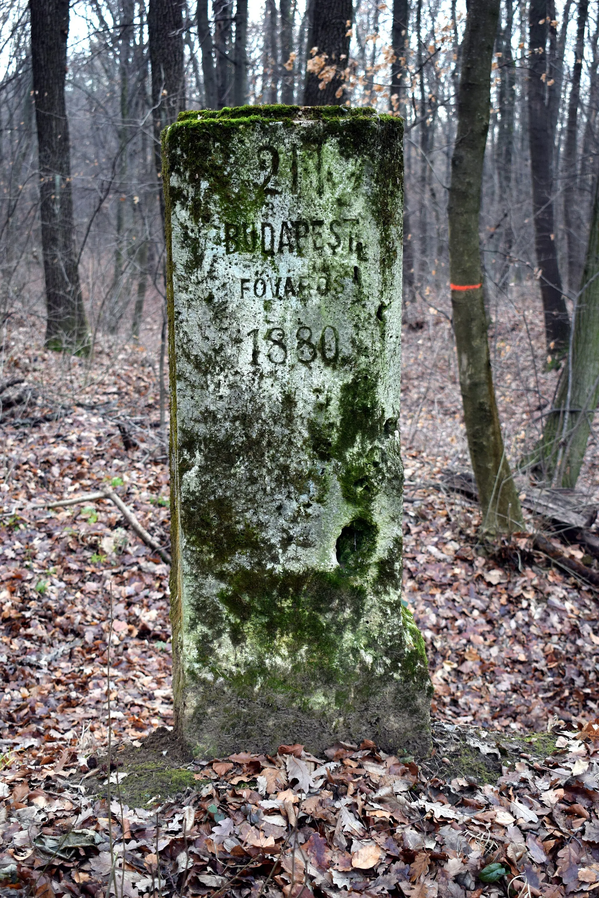Photo showing: No. 211 boundary stone of Budapest (1880), originally stood on the boundary with Budakeszi. It is located in the forest on the northwestern slope of János-hegy, not far from the Mary path. The inscription on the other side (Budakesz) was erased after Budakeszierdő was bought by Budapest.