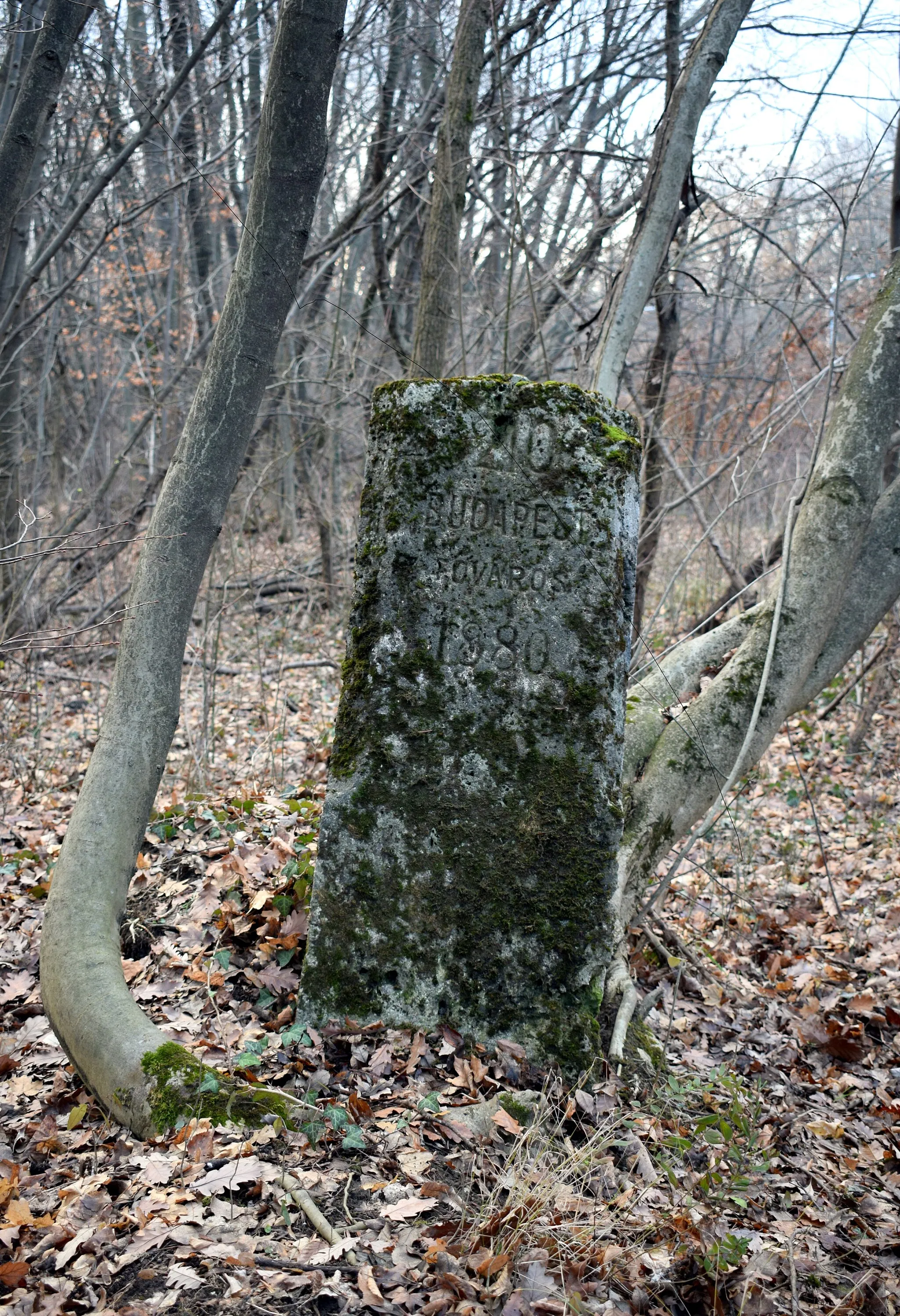 Photo showing: No. 210 boundary stone of Budapest (1880), originally stood on the boundary with Budakeszi. It is located on the high bank by Budakeszi út, on the northwestern slope of János-hegy. The inscription on the other side (Budakesz) was erased after Budakeszierdő was bought by Budapest. On the right side of the stone the year 1933 is marked while the letters "HR" are on the left.