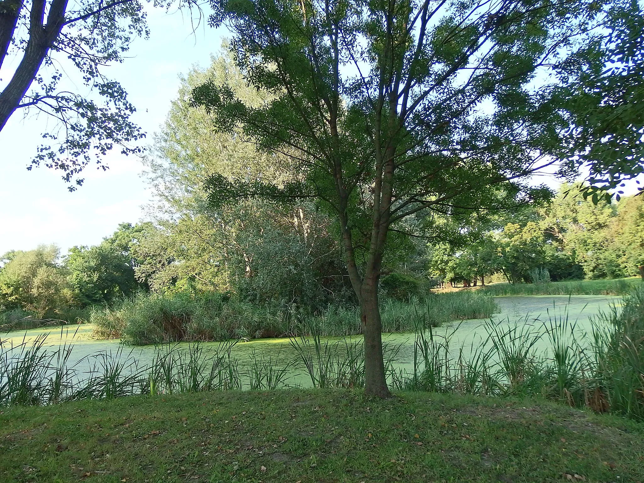 Photo showing: The Gerje Creek in Pilis, Pest County, Hungary