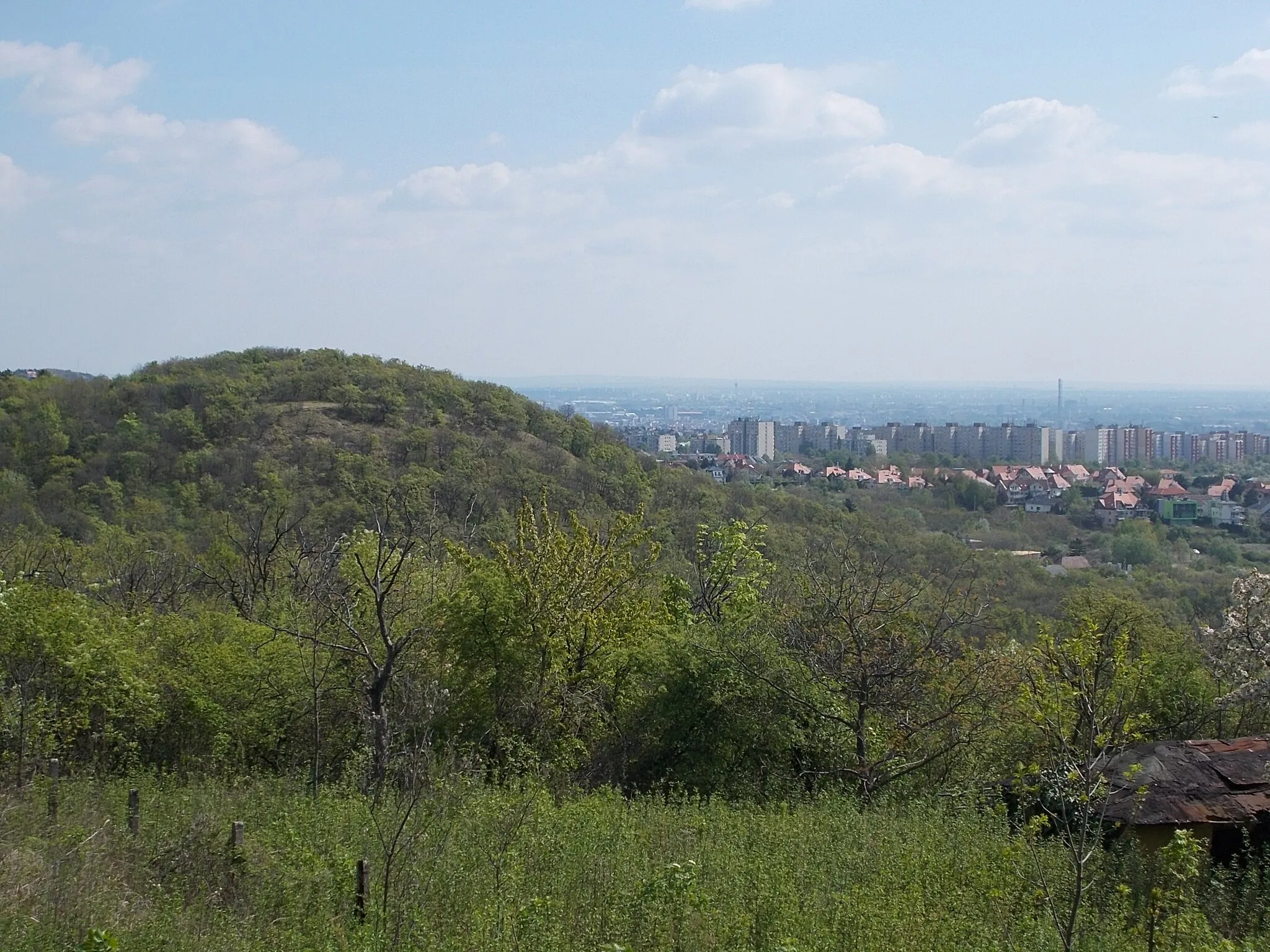 Photo showing: : View toward Rupp Hill and Pösingermajor neighbourhood, at back is the Gazdagréti Housing Estate. - Felsőhatár Street, Budaörs, Pest County.