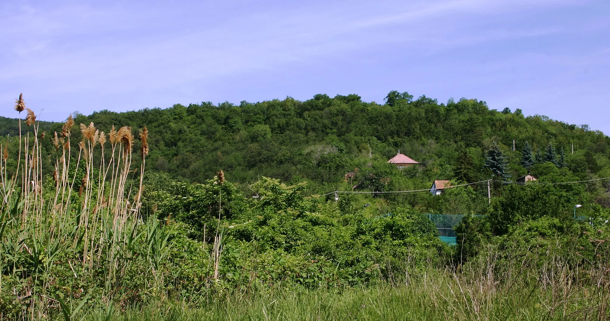 Photo showing: Rupp Hill in Budapest District XI, Hungary (nature reserve)