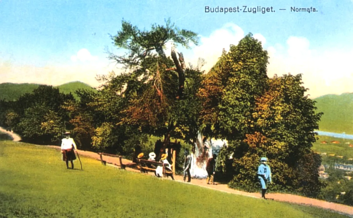 Photo showing: Budapest XII. kerület Zugliget  Normafa 1912-ben
