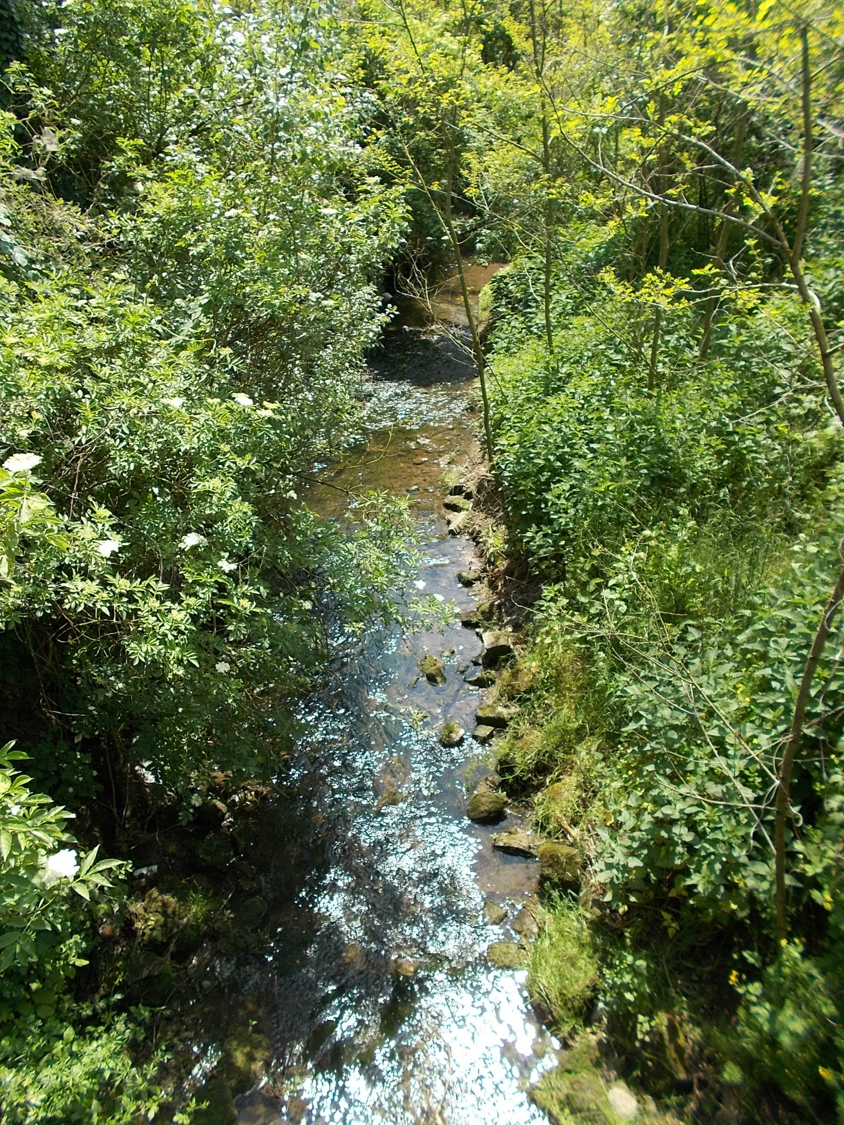 Photo showing: Füzes Stream, Biatorbágy, Pest County, Hungary.