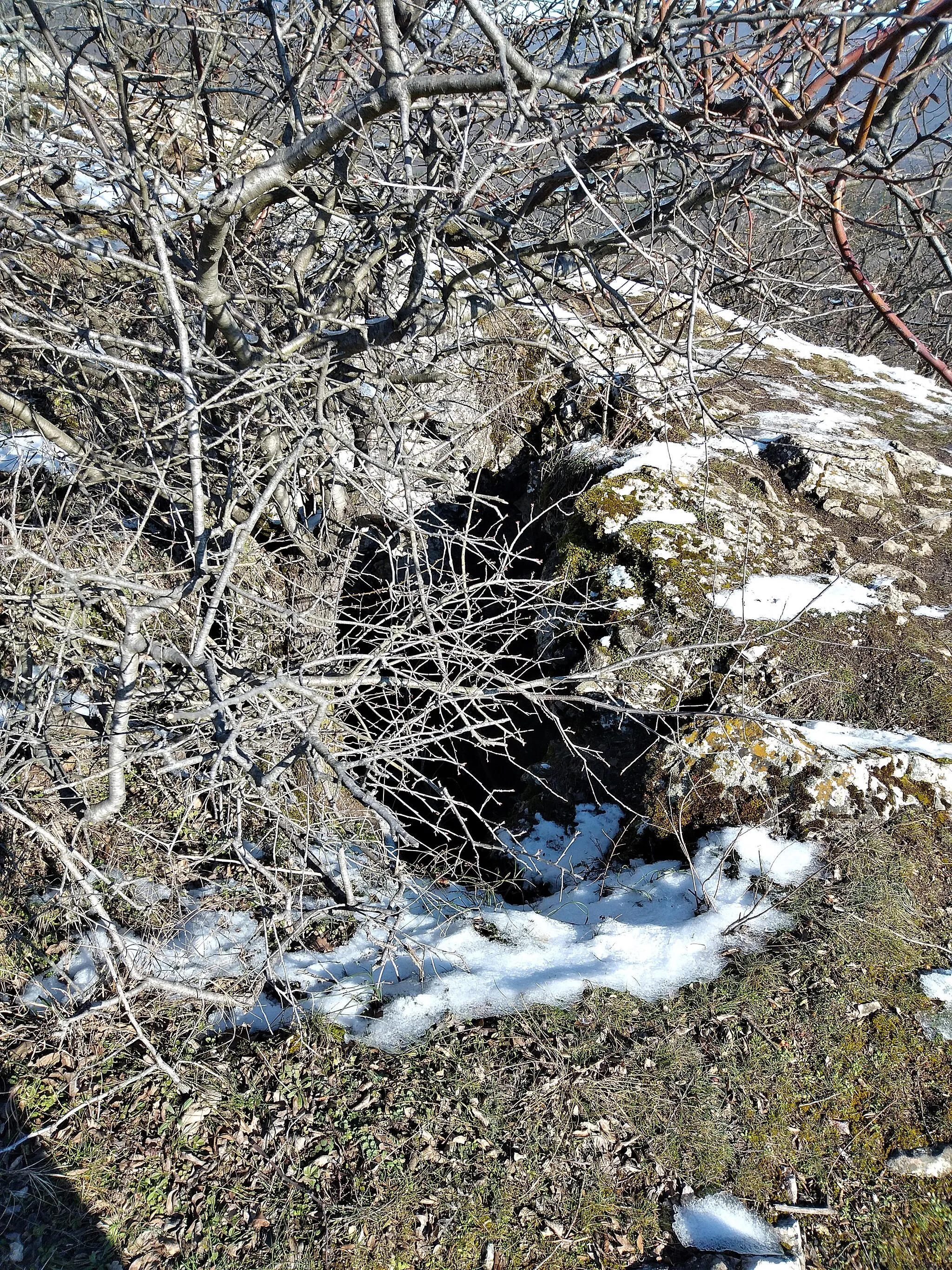 Photo showing: Upper entrance of Ziribári Cave, Csobánka.