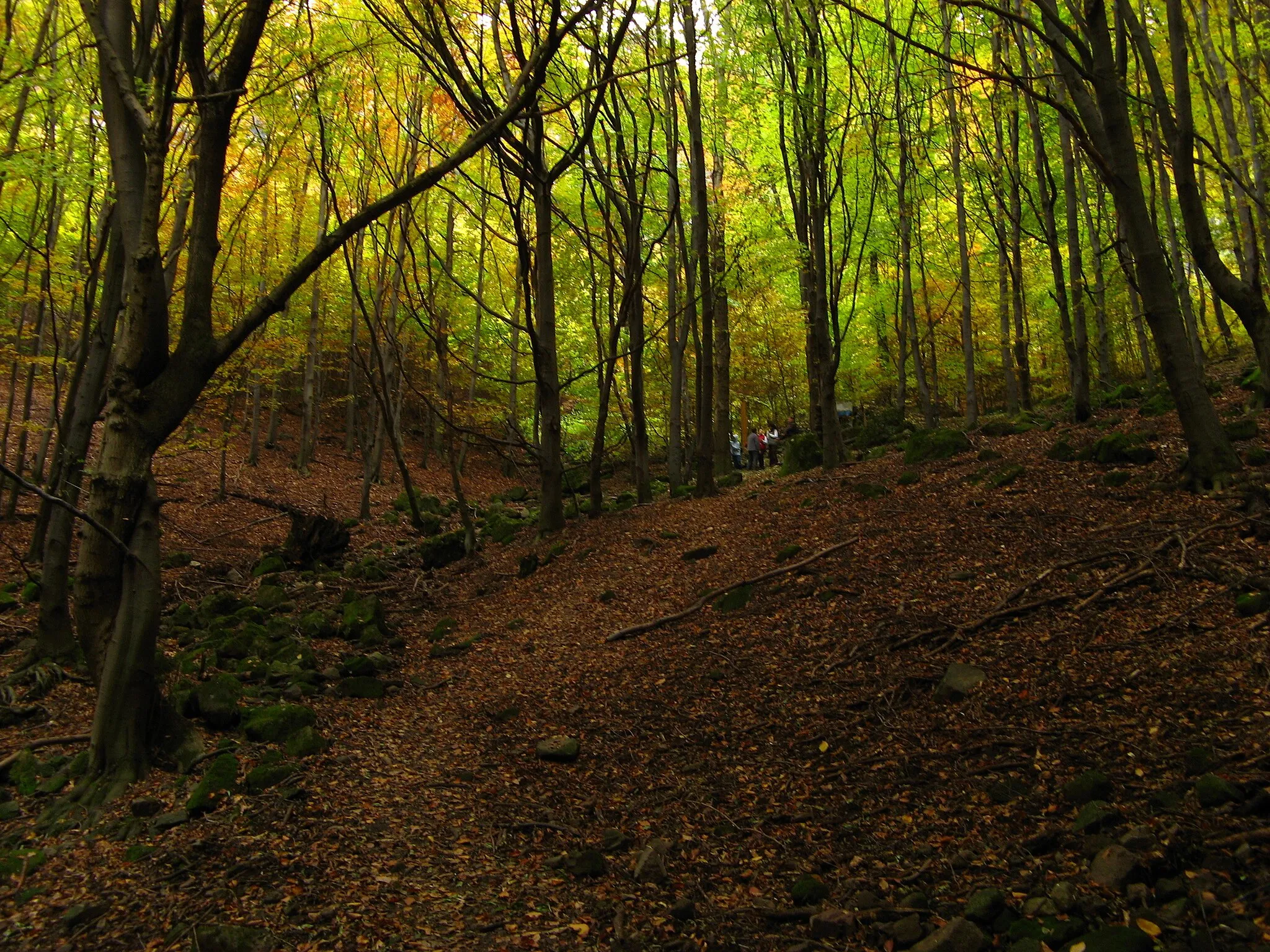 Photo showing: Dömös, 2027 Hungary