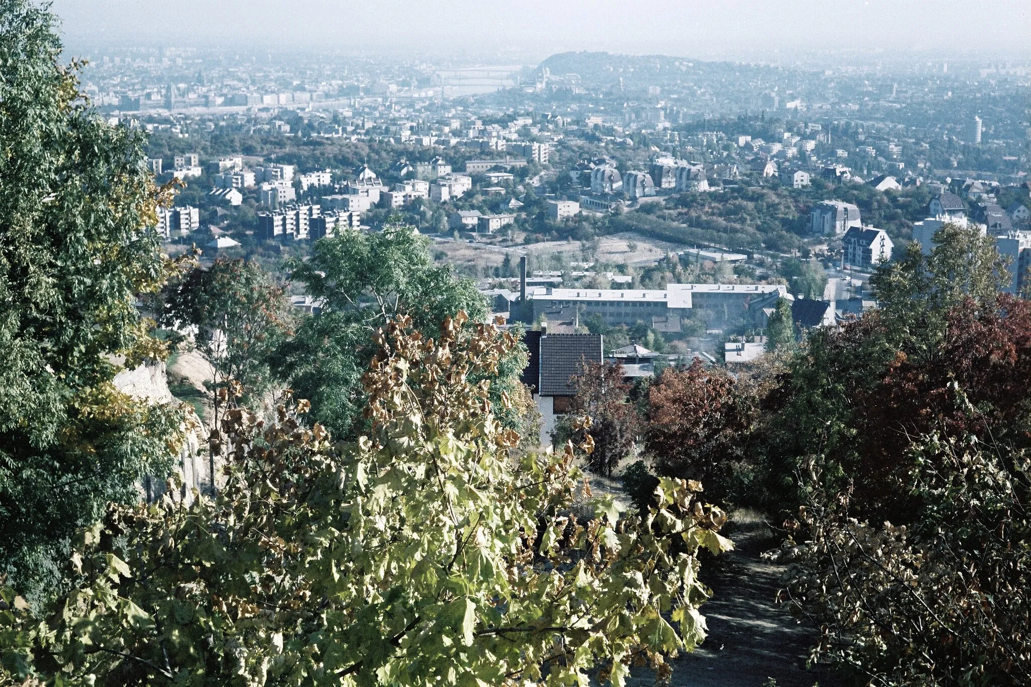 Photo showing: kilátás a városra a Látó hegy irányából.