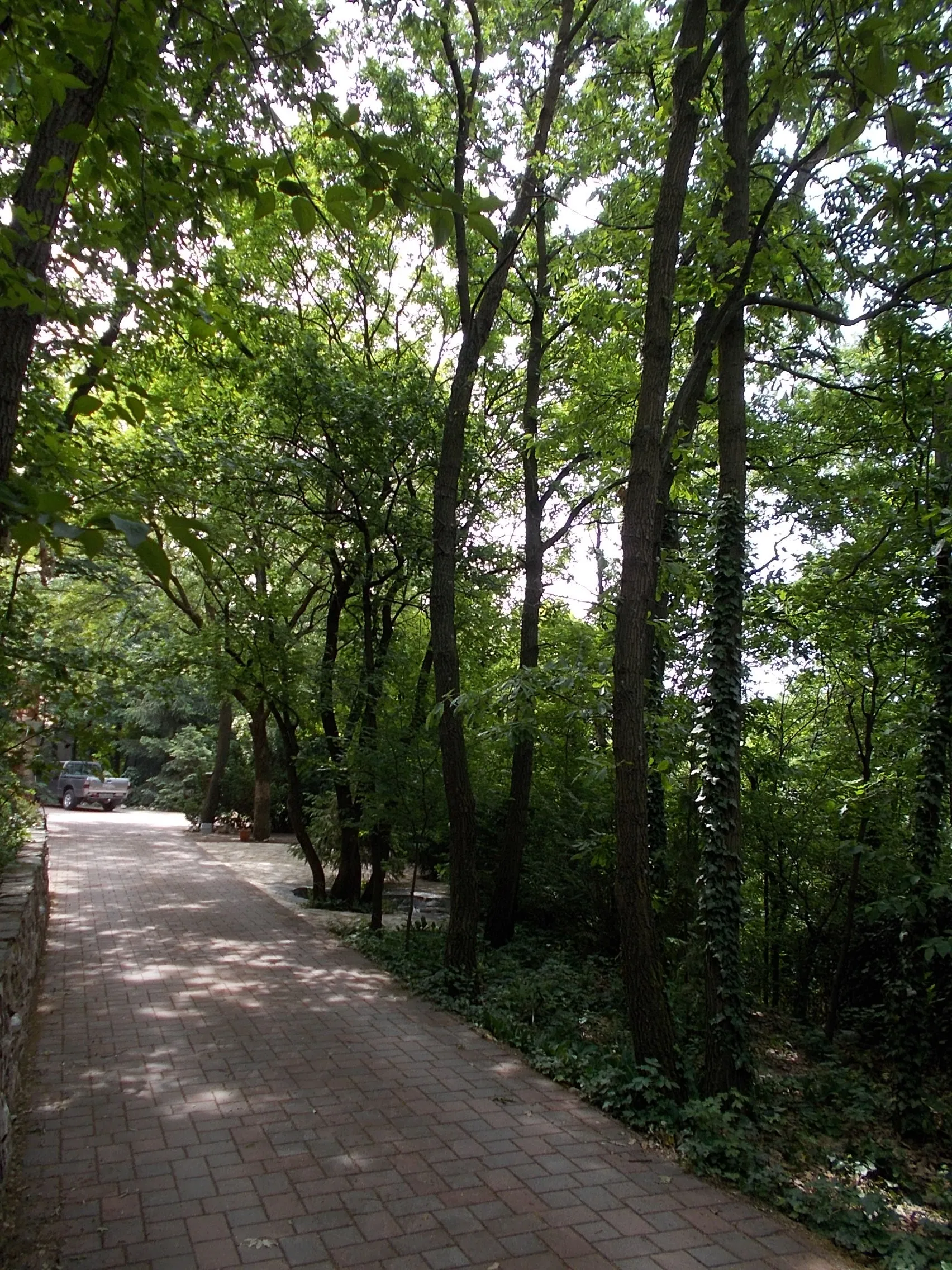Photo showing: : Berza-kert (Berza Garden) protected natural area. Garden/forest road to the building. Visit by appointment - 8 Borostyán Street, Érdliget neighborhood, Érd, Pest County, Hungary.