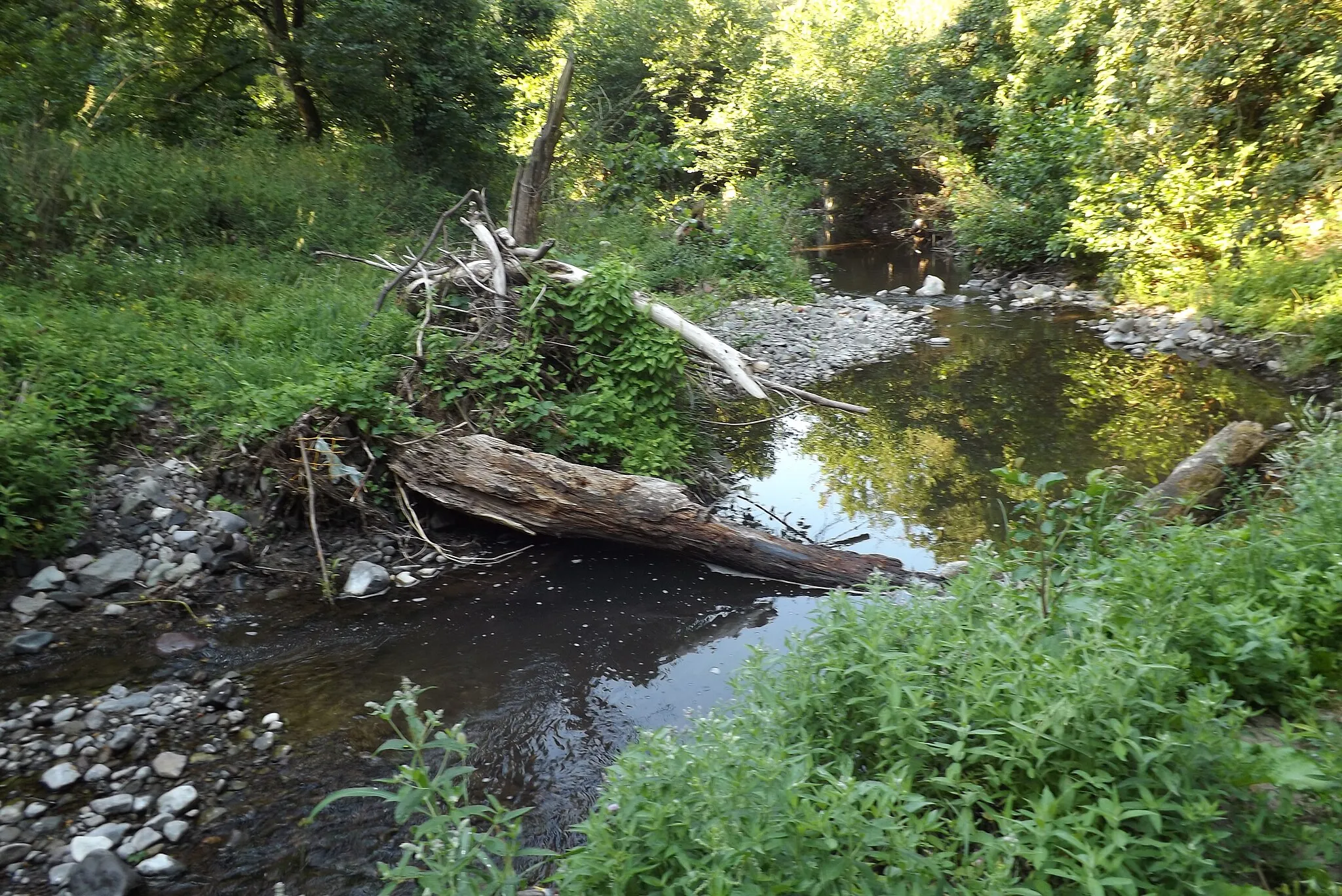 Photo showing: Kismaros, Börzsönyliget, Morgó-patak