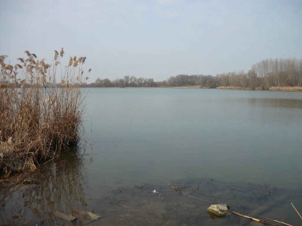 Photo showing: Lake Naplás at the end of winter (17th district of Budapest)