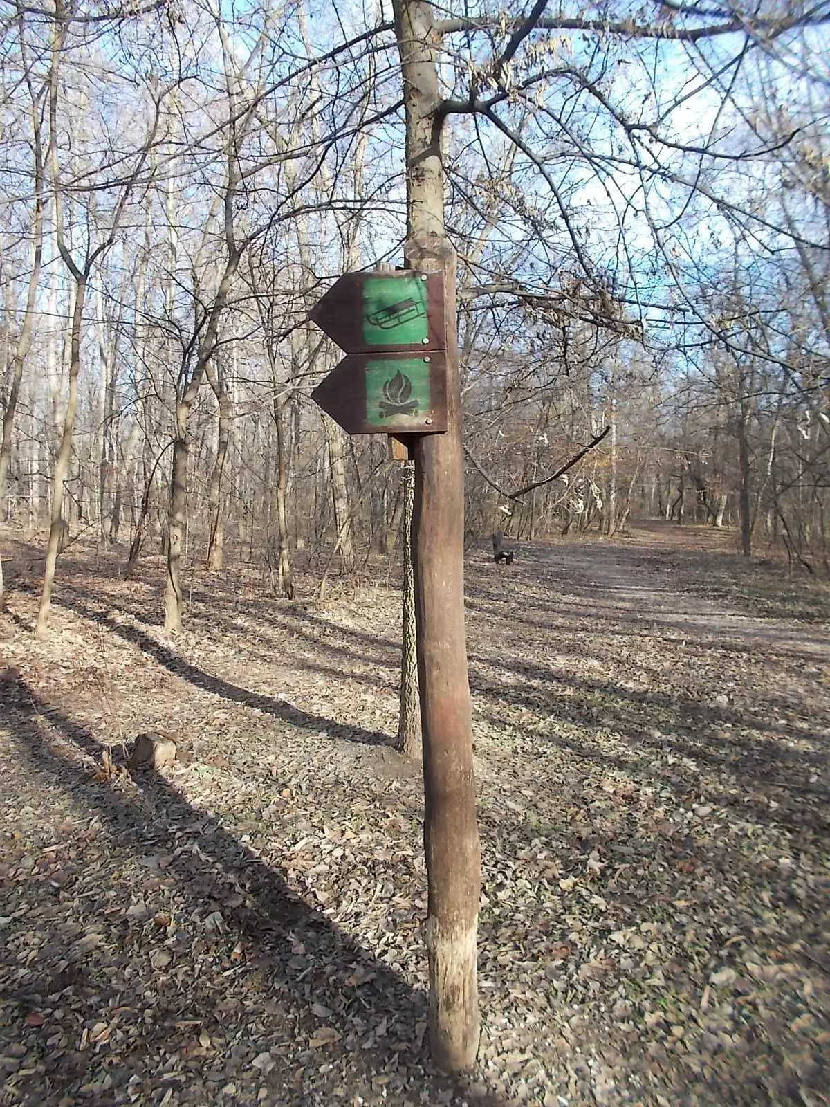 Photo showing: : Assigned campfire site and sled tack/site signs in Páskomligeti parkerdő (Páskomliget parkforest) or Kiserdő (Small forest) Part of the Pilis Parkerdő. - Szentmihályi út off, 15th district of Budapest.
