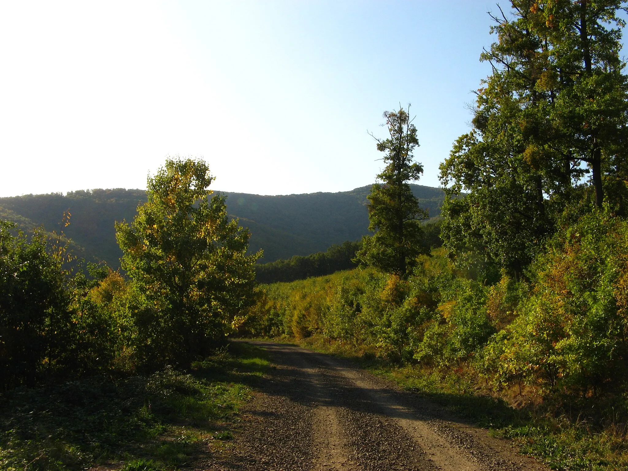 Photo showing: Szokolya, 2624 Hungary