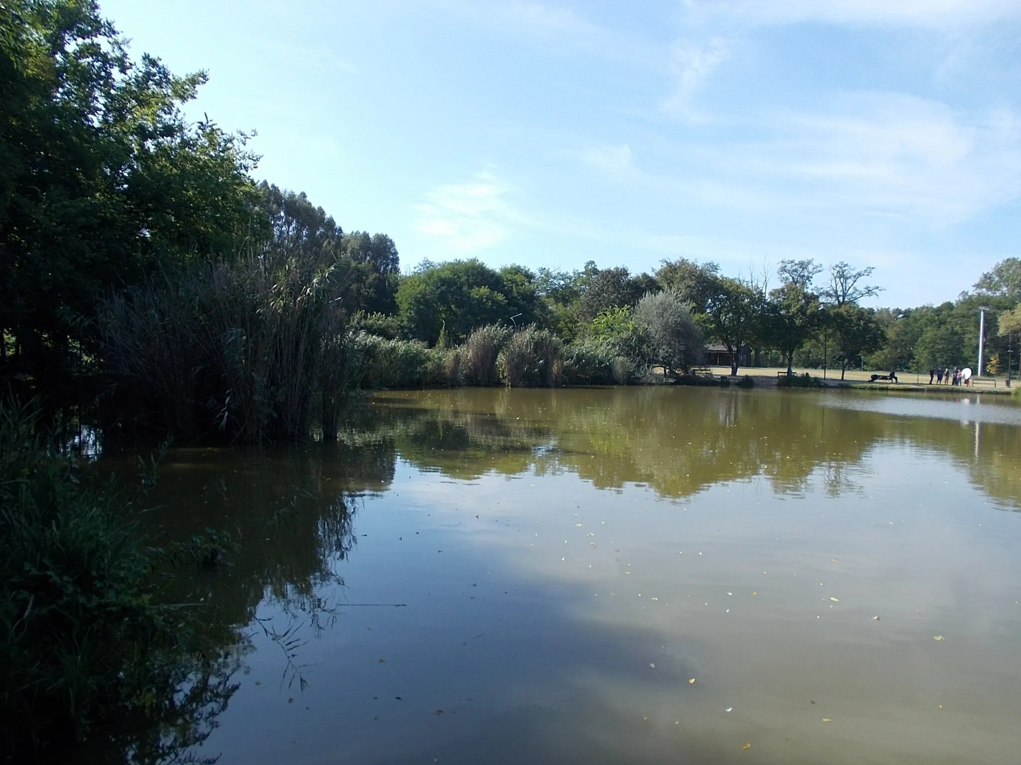 Photo showing: : Nagy Lake (Somlyó Lake, Fót Lake) looking to southwest from eastern shore, Fótfürdő neighbourhood, Fót, Pest County, Hungary.