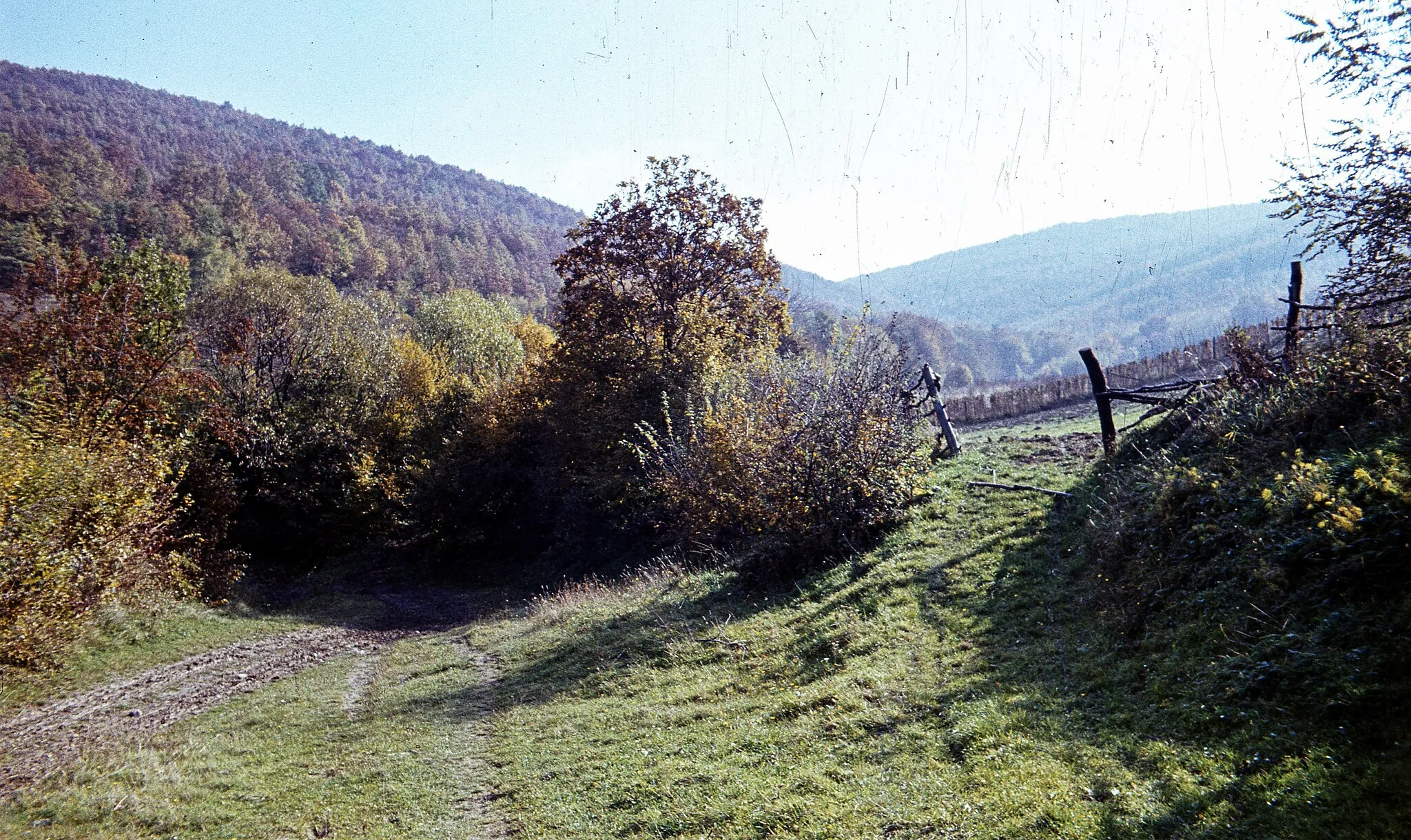 Photo showing: Szent László-völgy Pilisszentlászló közelében.