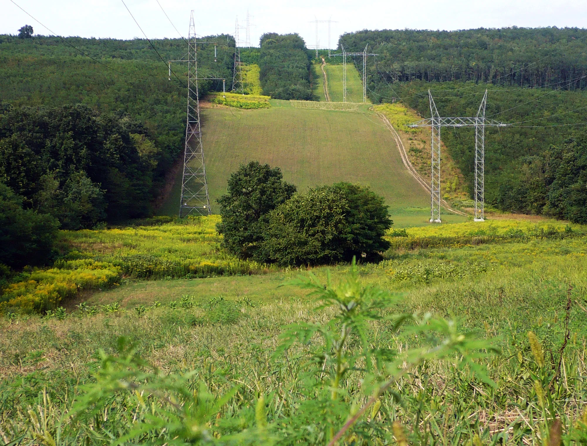 Photo showing: Gödöllő, elektromos távvezeték, Autechre - IO