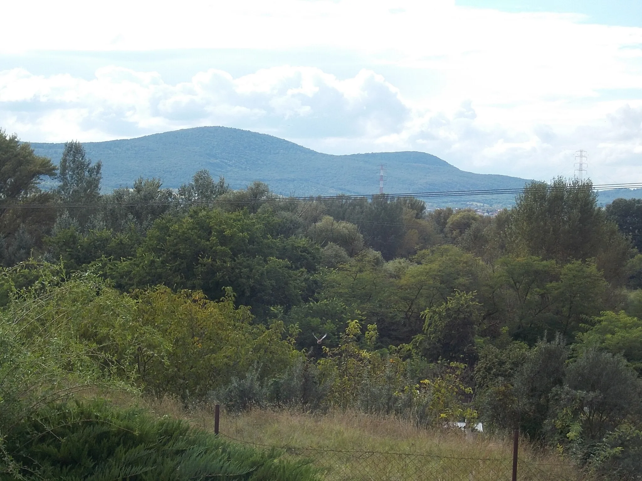 Photo showing: : Pilis Mountains from cemetery - Dunakeszi, Pest County, Hungary.