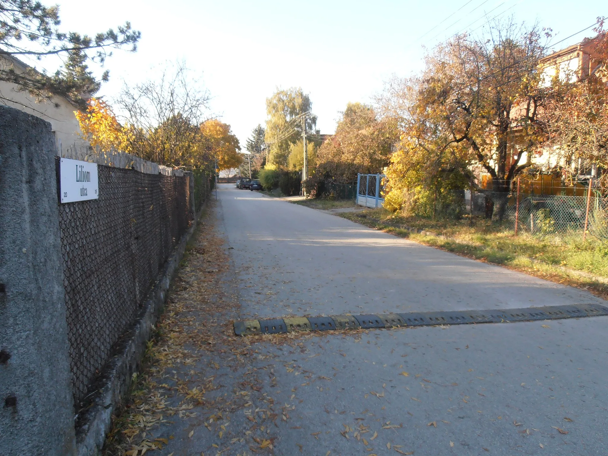 Photo showing: Szentendre-Pannóniatelep, a Liliom utca a Gyöngyvirág utca sarkától az Irányi Dániel utca felé nézve