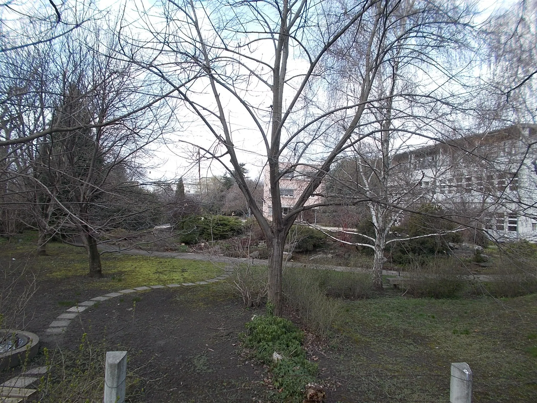 Photo showing: : Magyar Gyula Horticultural Secondary School and Vocational School (Est. 1902), garden (Maglódi út, 8) from Algyógyi street, Téglagyárdűlő neighborhood, 10th District of Budapest.