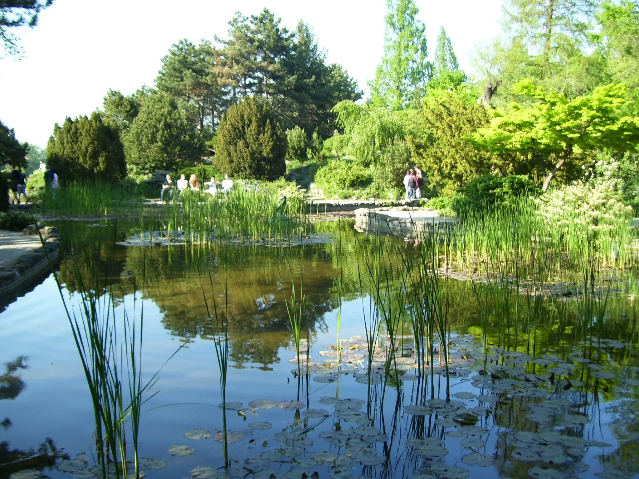 Photo showing: Japánkert a budapesti Margit-szigeten