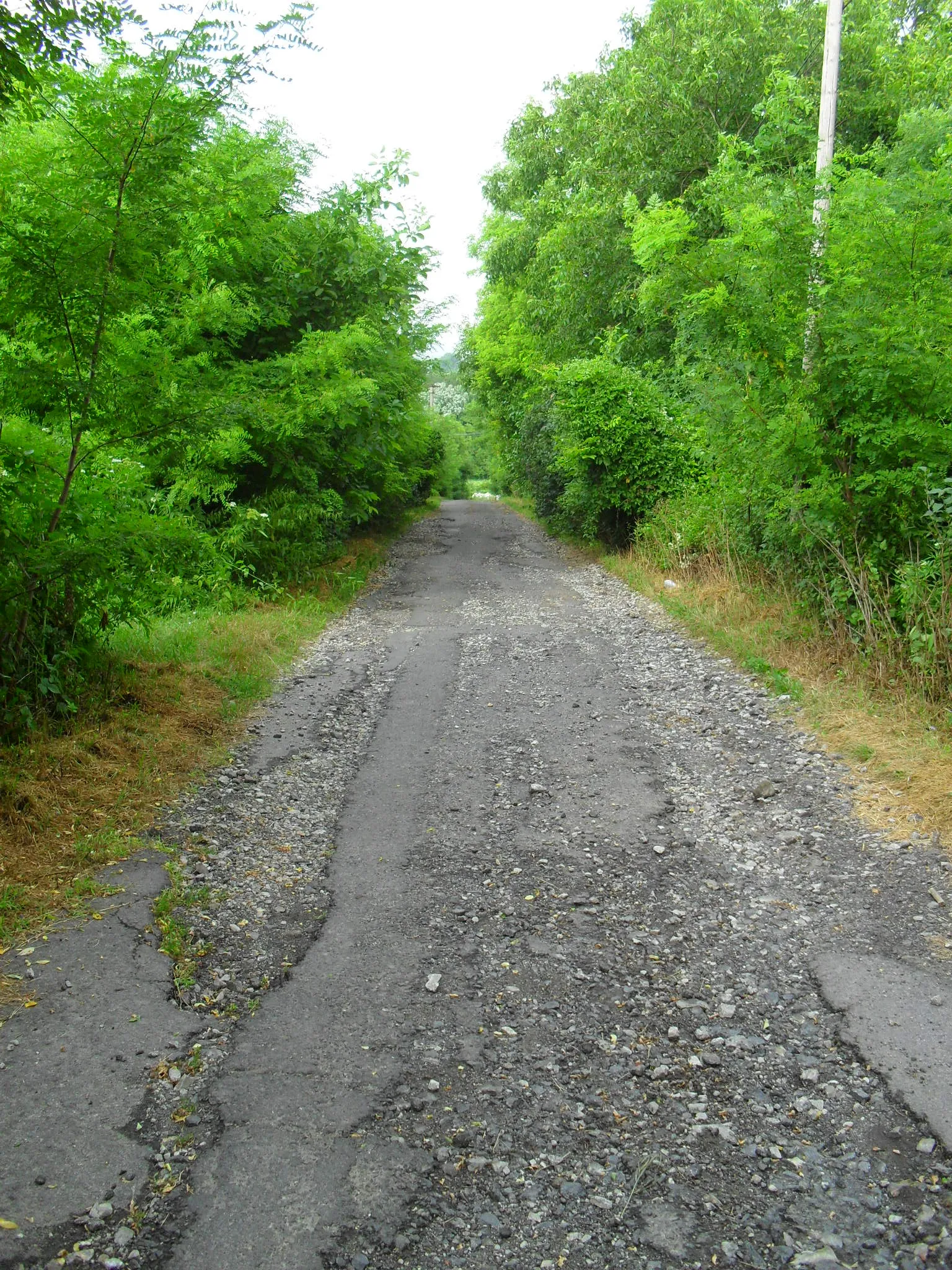Photo showing: Ipolyvisk - az államhatárhoz vezető út