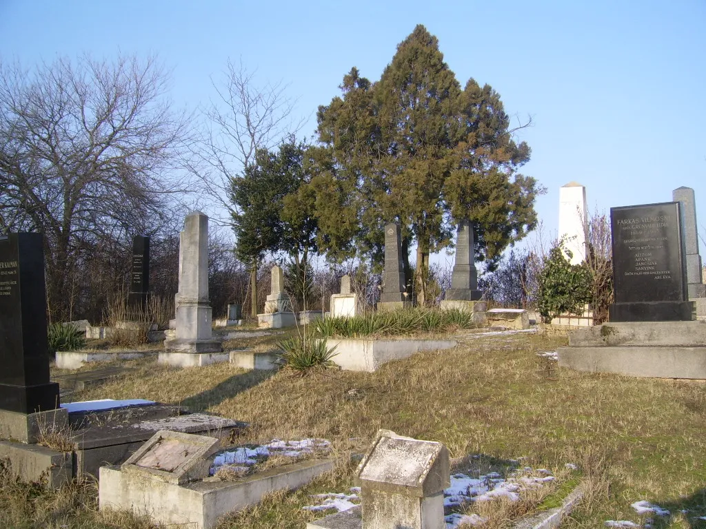 Photo showing: Old abandoned jewish cemetery in Örkény, Hungary. Year of the last burial: 1943.