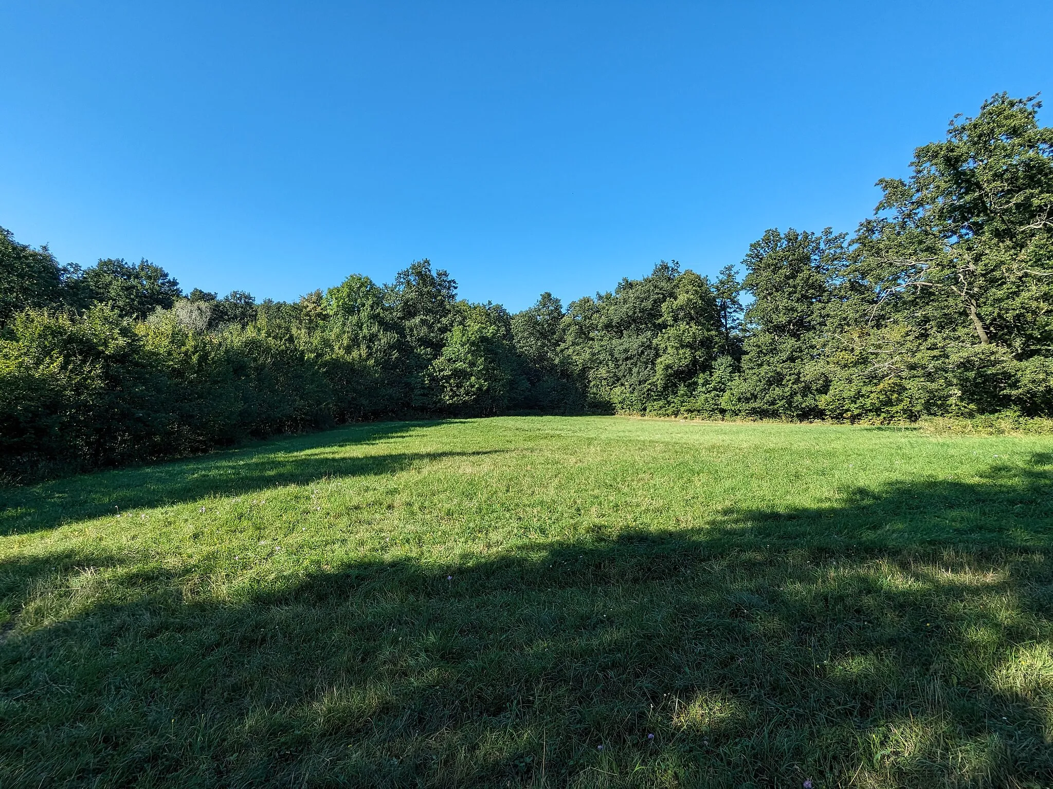 Photo showing: Ötszögű-rét on the Urak asztala peak in the Visegrád Mountains. The Hungarian name means 'Pentagonal meadow'. The pentagonal clearing was a mountain pasture belonging to Dunabogdány village in the 19th century; its old German name was Alte Ruh (as written on the 1885 cadastral map).