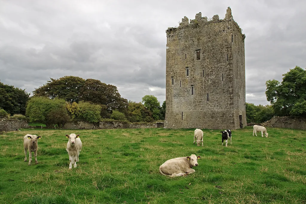 Photo showing: Castles of Munster: Lackeen, Tipperary (2)