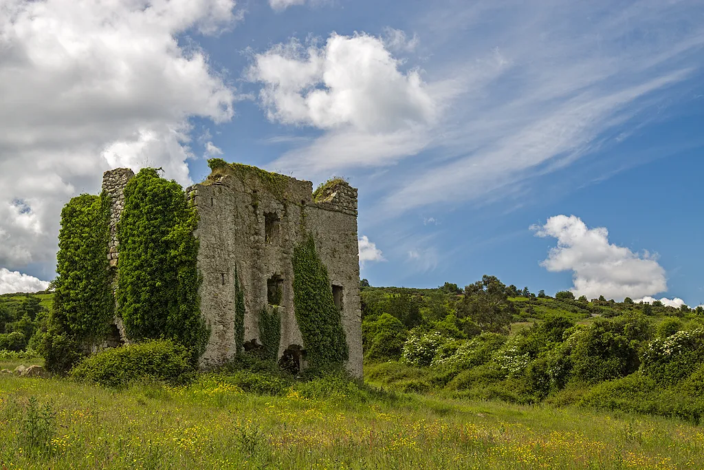 Photo showing: Castles of Leinster: Puck's, Co. Dublin (1)