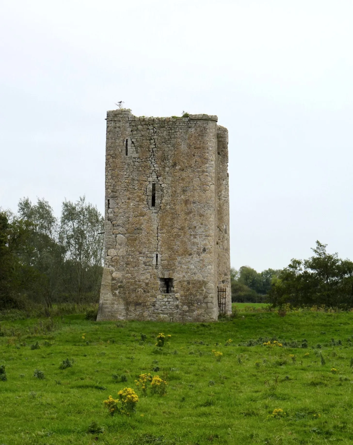 Photo showing: Donore Castle, County Meath