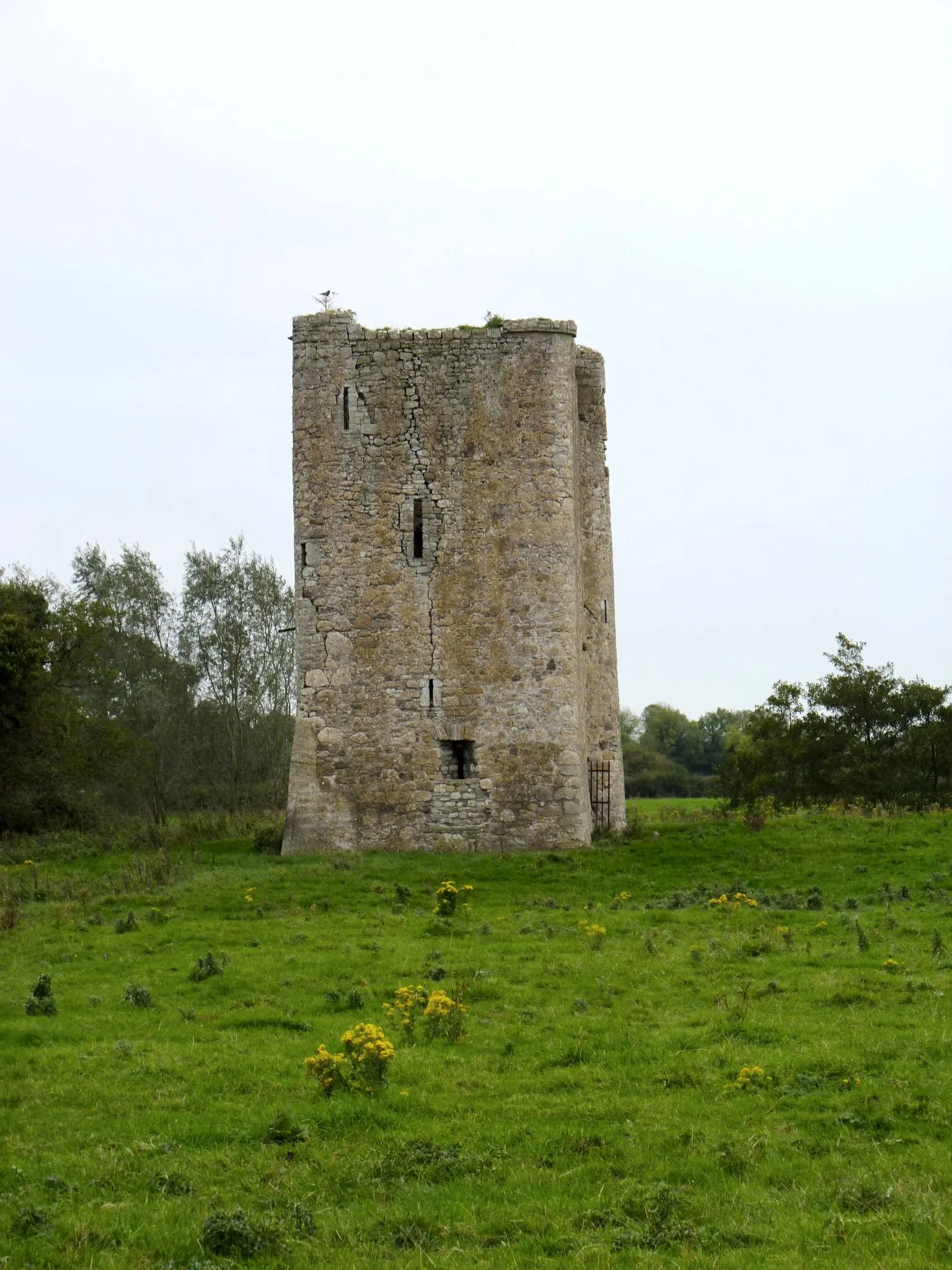 Photo showing: Donore Castle