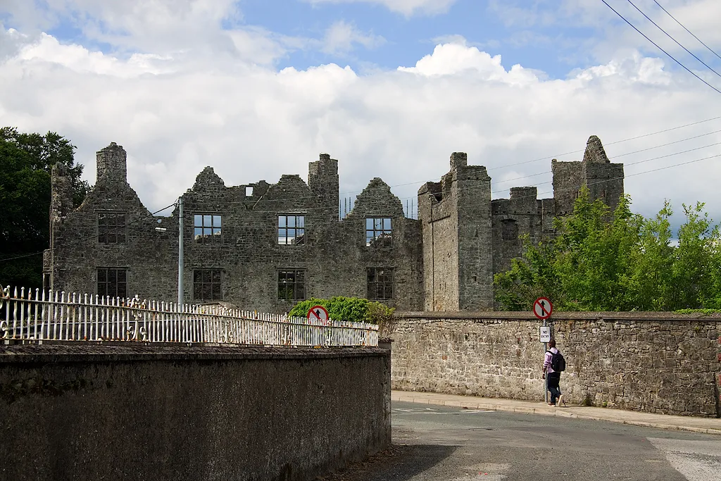 Photo showing: Castles of Leinster: Athlumney, Meath (1)