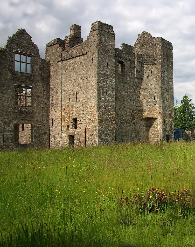 Photo showing: Castles of Leinster: Athlumney, Meath (2)