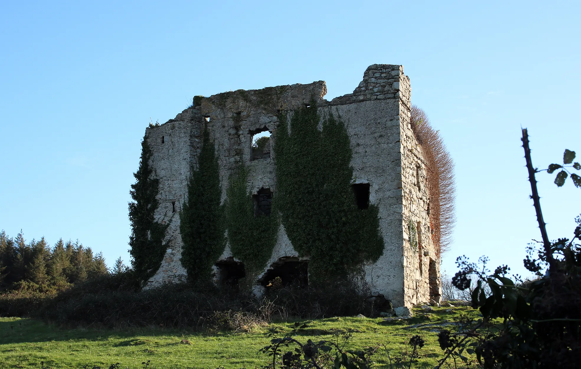 Photo showing: Puck's Castle, Puck's Castle Lane in February 2019. A History of the County Dublin suggests that the fortified dwelling was erected around 1537 by Peter Talbot to defend the lands from incursions by the O'Toole clan.  James II visited the castle following the Battle of the Boyne in 1690 while his army was camped at nearby Lehaunstown.