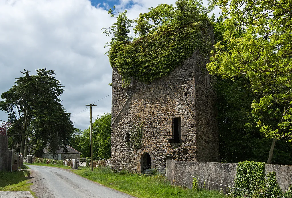 Photo showing: Castles of Leinster: Ballycuddihy, Kilkenny (1)